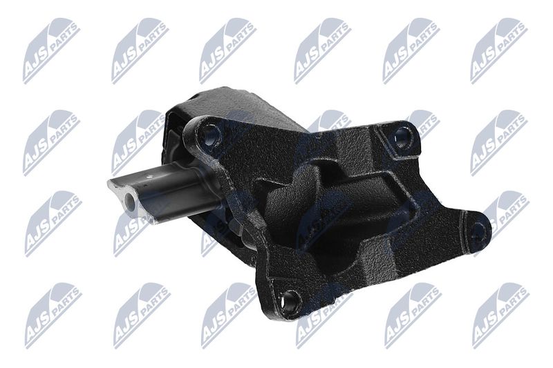 Paigutus, Mootor, NTY ZPS-CH-030