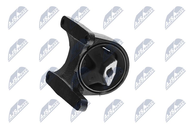 Paigutus, Mootor, NTY ZPS-CH-008