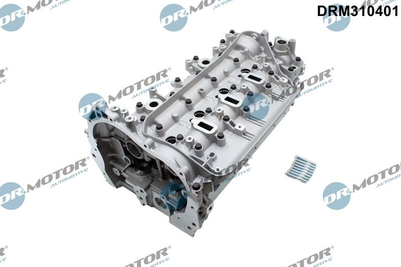 Dr.Motor Automotive Cilindro galvutė