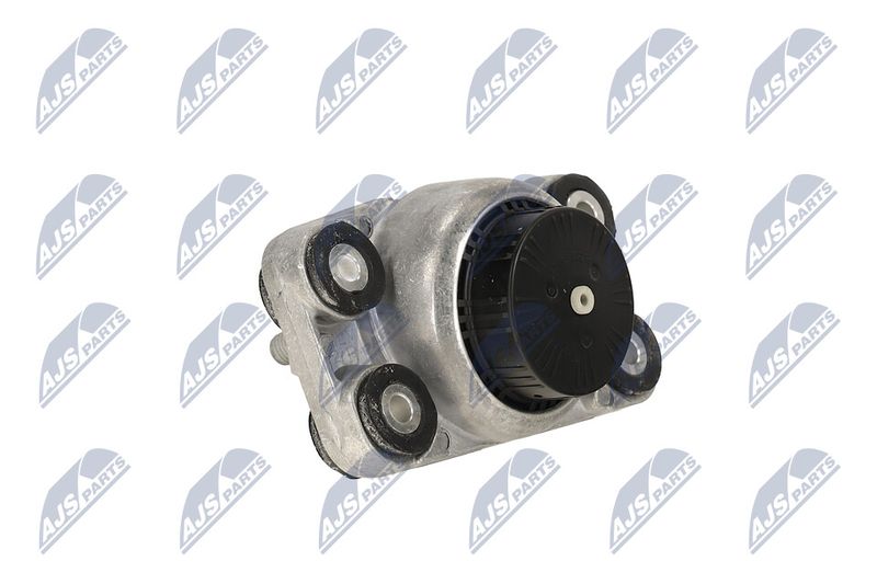 Paigutus, Mootor, NTY ZPS-LR-014