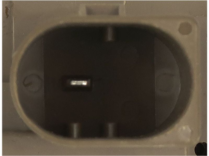 381998.JPG