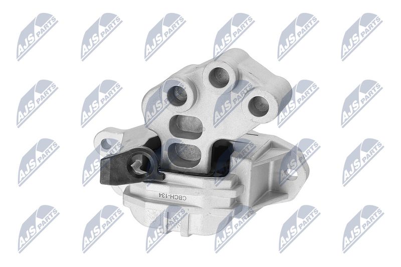 Paigutus, Mootor, NTY ZPS-CH-134