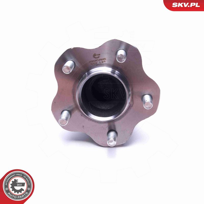 ESEN SKV 29SKV446 Wheel Bearing Kit