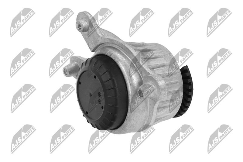 Paigutus, Mootor, NTY ZPS-ME-018