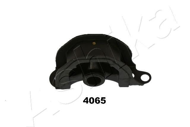 GOM-4065_1.JPG