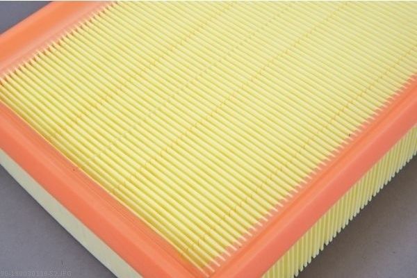 AUTOMEGA 180030110 Air Filter