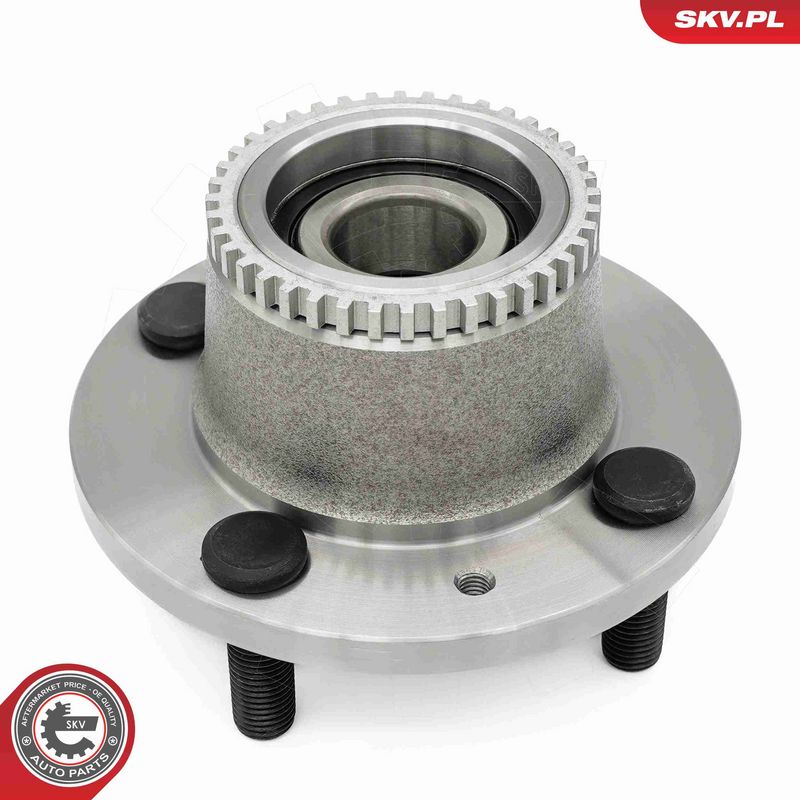 ESEN SKV 29SKV661 Wheel Bearing Kit