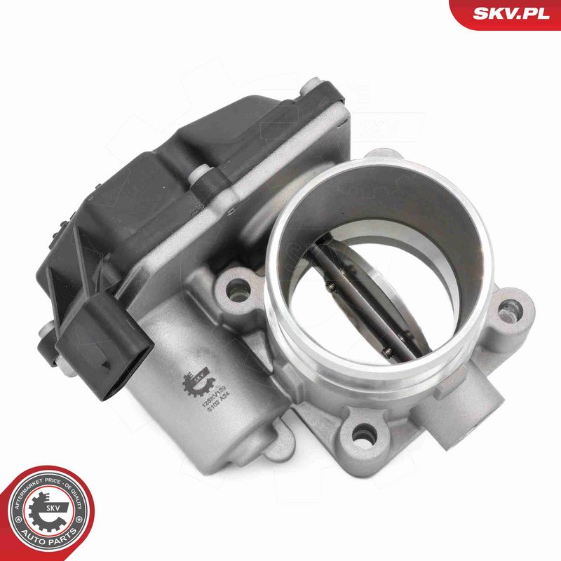 ESEN SKV 12SKV139 Throttle Body