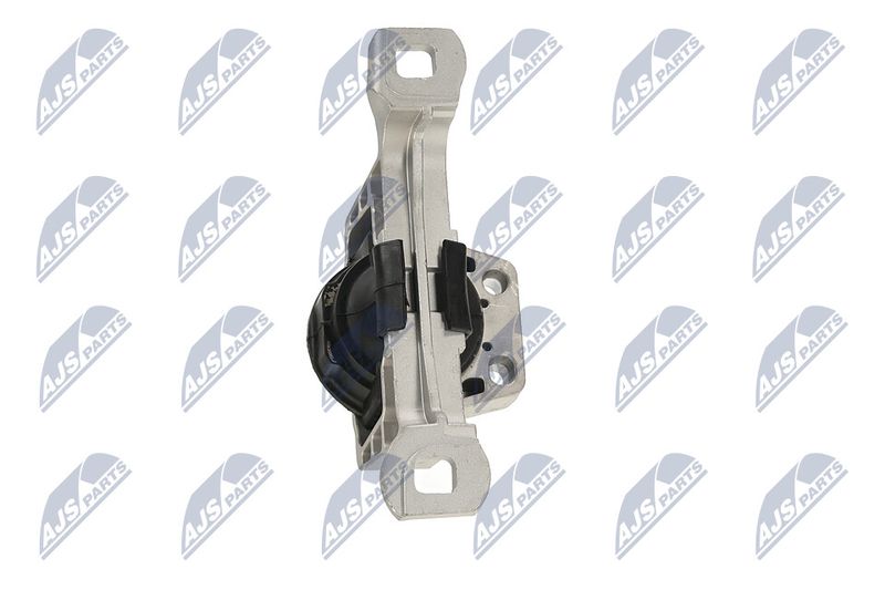 Paigutus, Mootor, NTY ZPS-FR-020