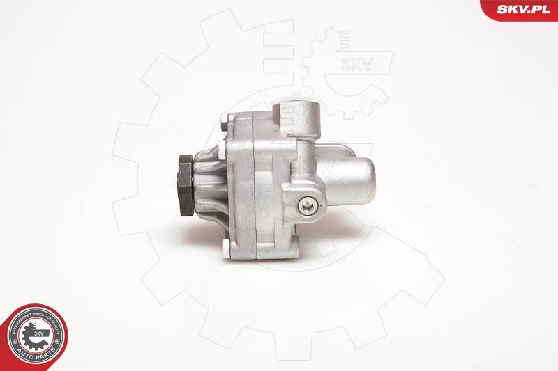 ESEN SKV 10SKV017 Hydraulic Pump, steering