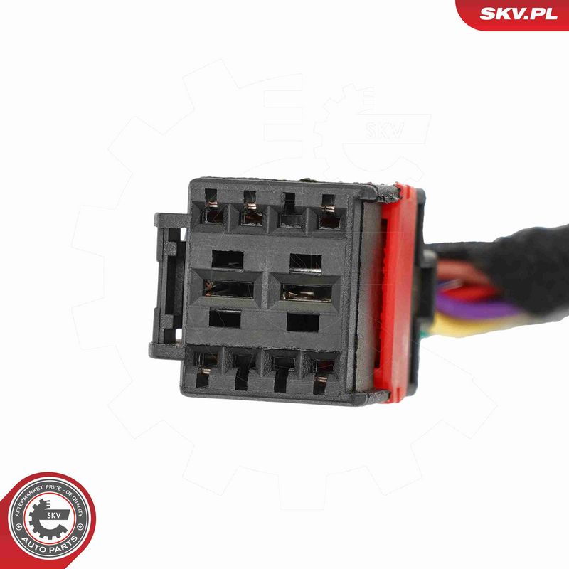 ESEN SKV 52SKV212 Electric Motor, tailgate