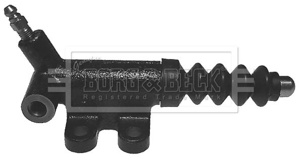 BES170_230752.JPG