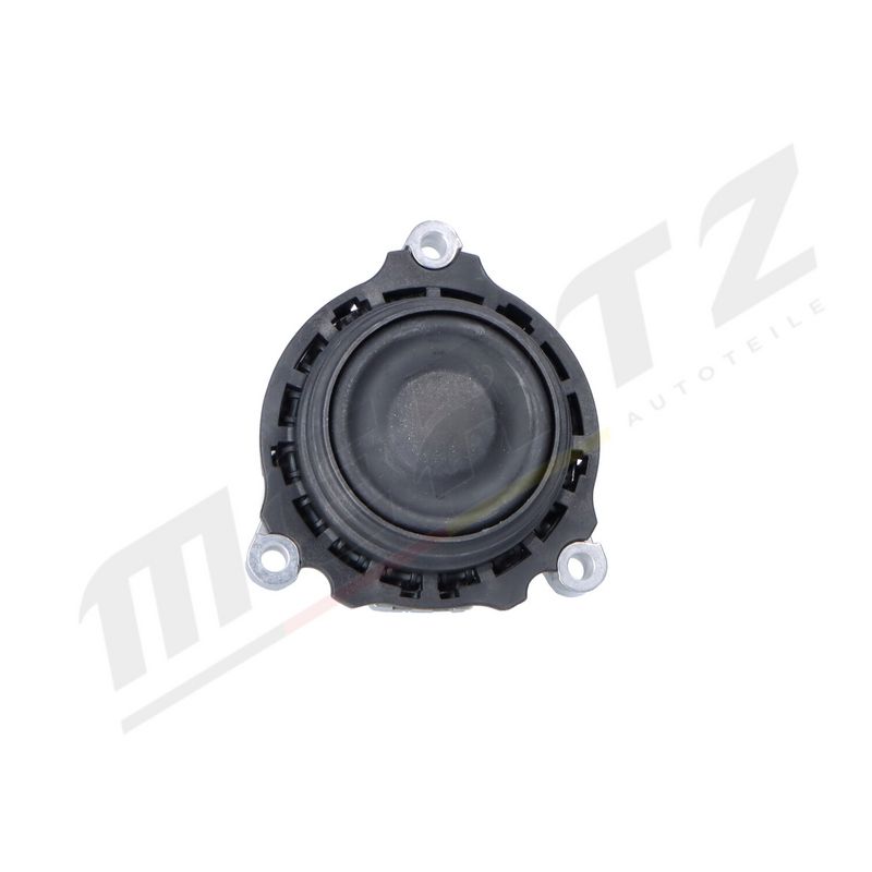 MERTZ M-S5281 Mounting, engine