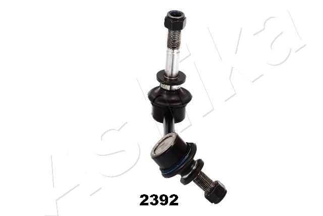 GOM-2392_1.JPG