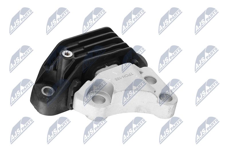 Paigutus, Mootor, NTY ZPS-CH-165