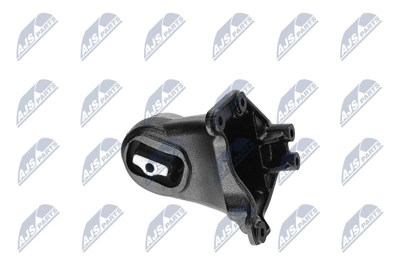 Paigutus, Mootor, NTY ZPS-CH-173