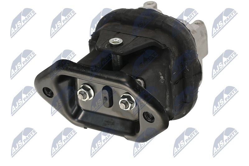 Paigutus, Mootor, NTY ZPS-CH-116