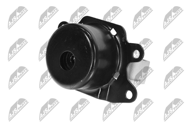Paigutus, Mootor, NTY ZPS-PL-053