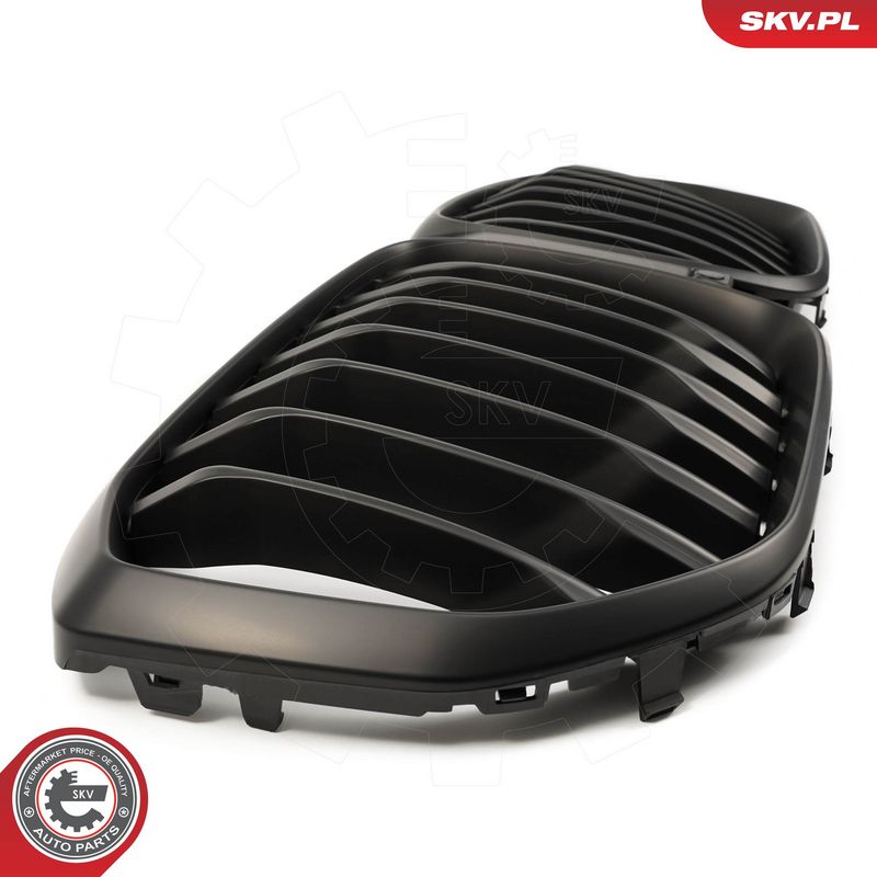 Radiaatorivõre, ESEN SKV 66SKV301