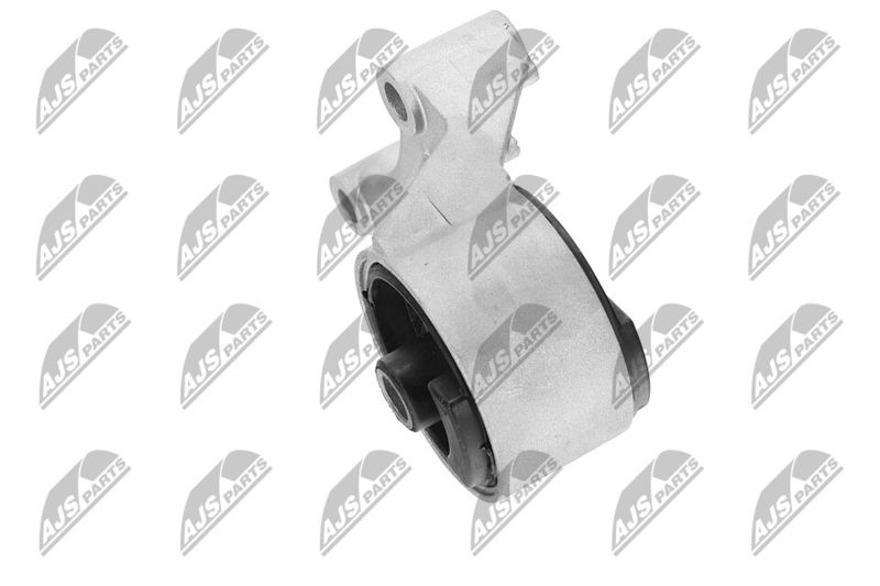 Paigutus, Mootor, NTY ZPS-PL-069