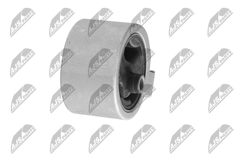 Paigutus, Mootor, NTY ZPS-HY-504