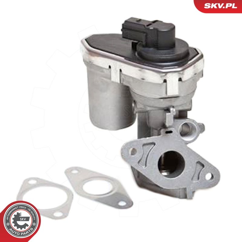 EGR-klapp, ESEN SKV 14SKV038