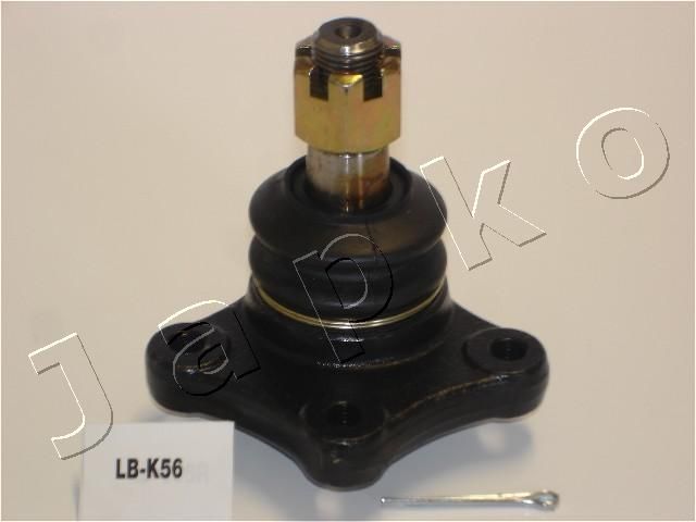 53K56_1.JPG