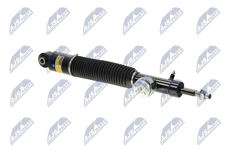 Amort, NTY A-NS-056