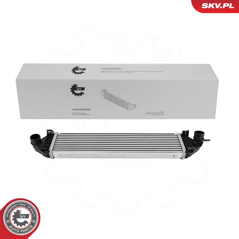 Prekė atitinka OEM kodą: BV619L440AE
