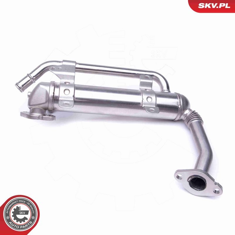 ESEN SKV 14SKV223 EGR Valve