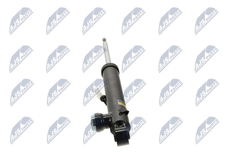 Amort, NTY A-PL-066