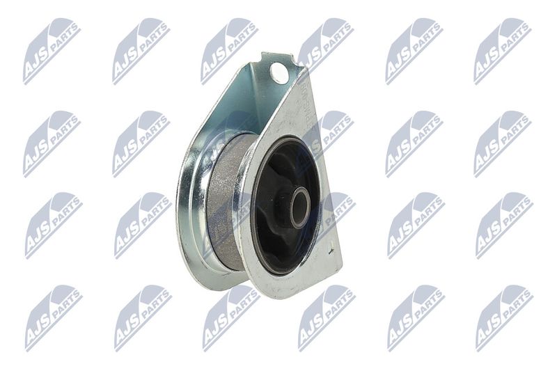 Paigutus, Mootor, NTY ZPS-MS-009