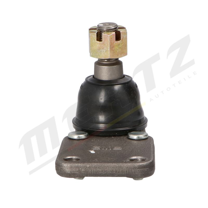M-S1498_2.JPG