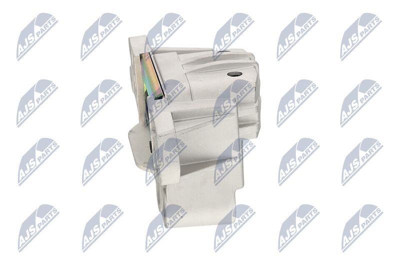 Paigutus, Mootor, NTY ZPS-CH-131