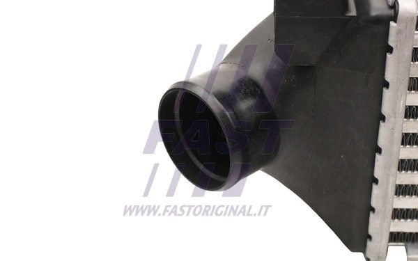 FT55596_3_1.JPG
