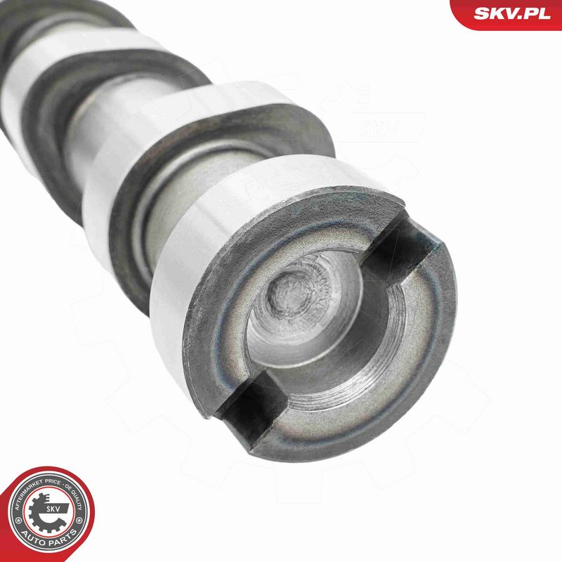 ESEN SKV 80SKV001 Camshaft