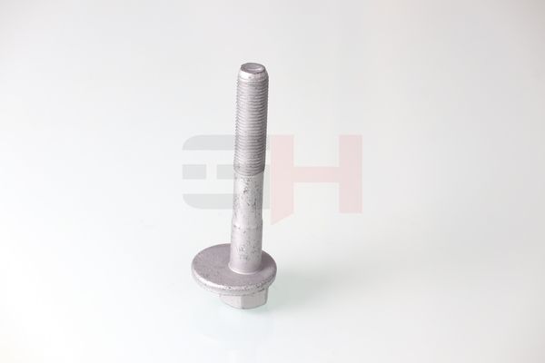GH GH-399901 Camber Correction Screw