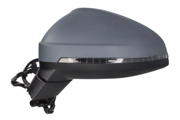 BLIC 5402-25-0054312P Exterior Mirror