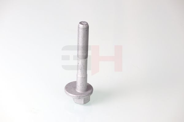 GH GH-399901 Camber Correction Screw