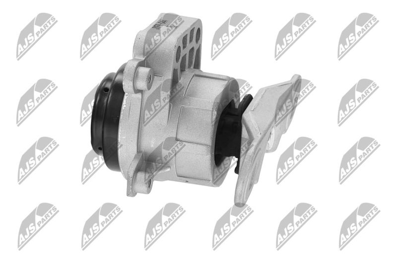 Paigutus, Mootor, NTY ZPS-FR-044