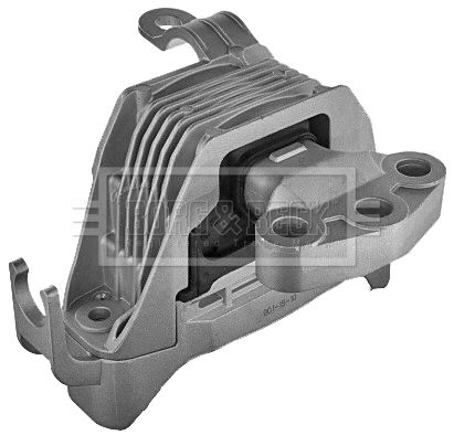 BEM4206_210934.JPG