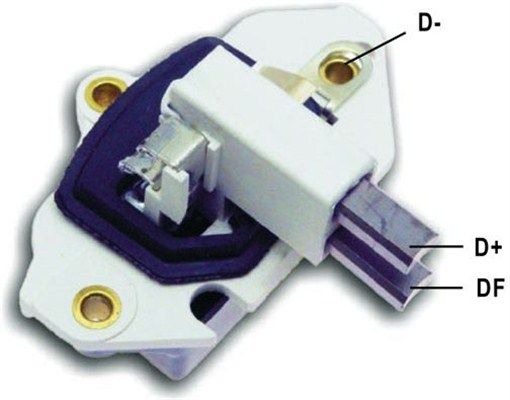 DDF_AMP0043_WR.JPG