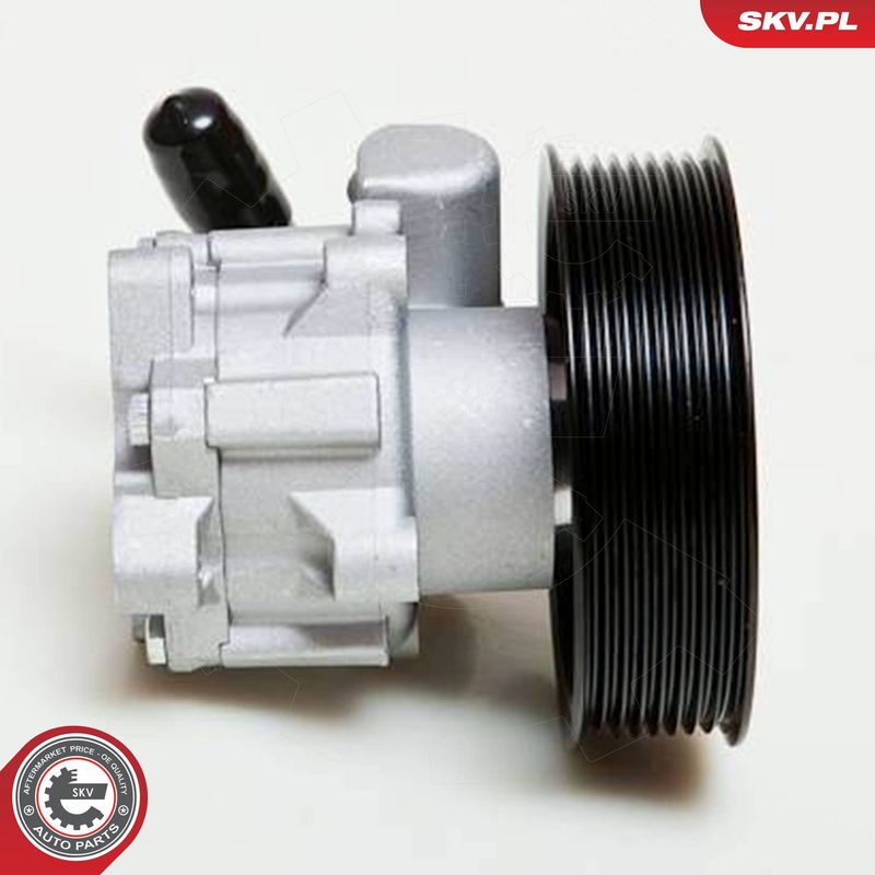 ESEN SKV 10SKV039 Hydraulic Pump, steering