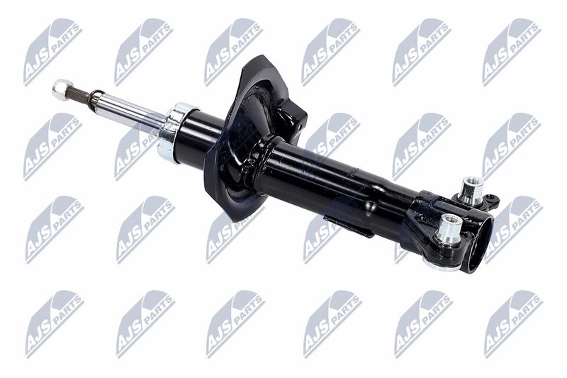 Amort, NTY A-NS-016