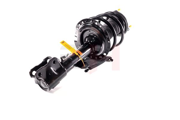 Vedruamort, GH GH-353057C01