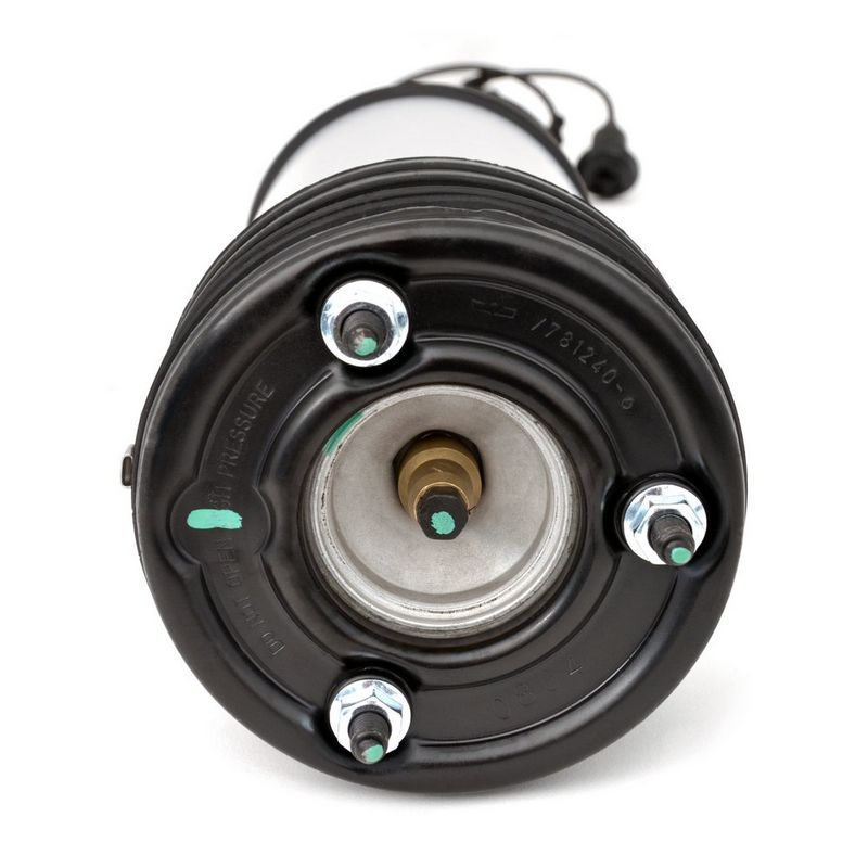 AS-2194 Arnott Gamba elastica con ammortiz. pneumatico 