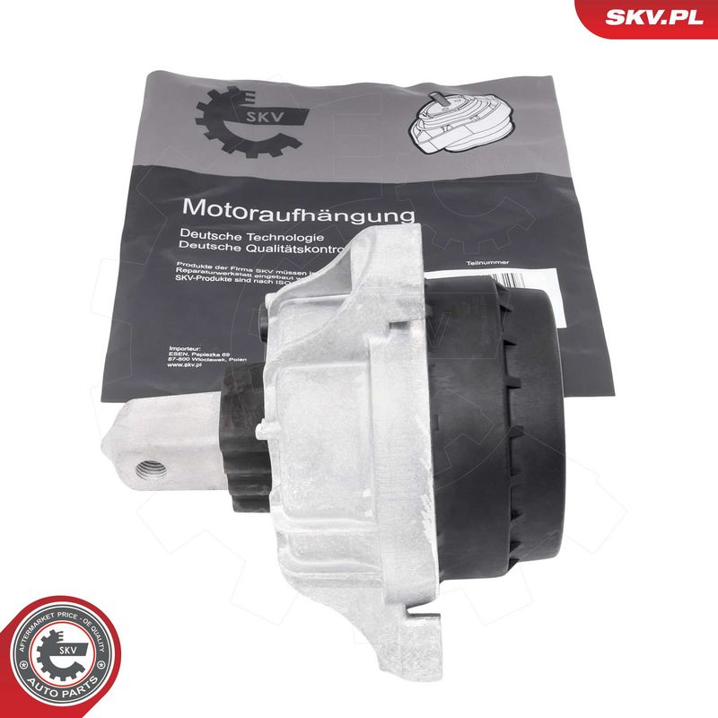 Paigutus, Mootor, ESEN SKV 75SKV250