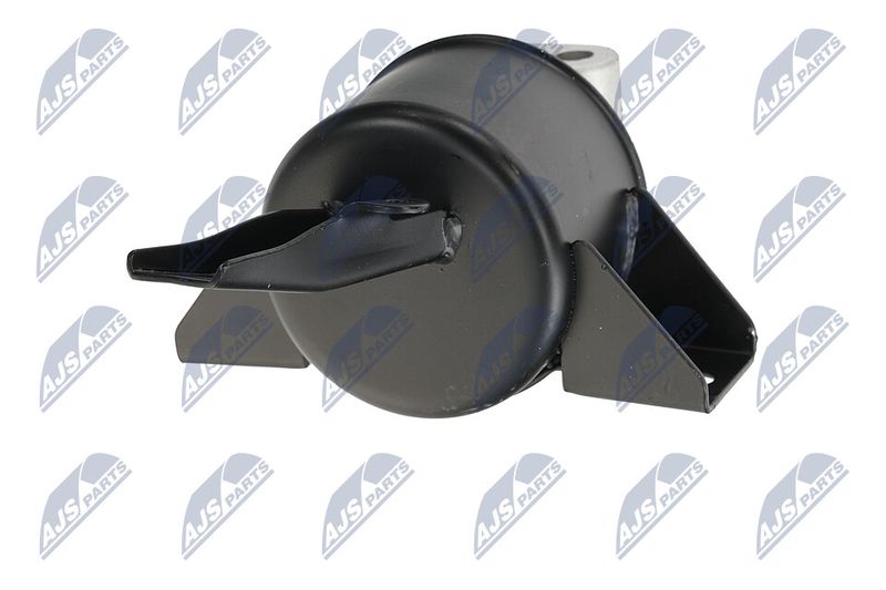 Paigutus, Mootor, NTY ZPS-DW-010