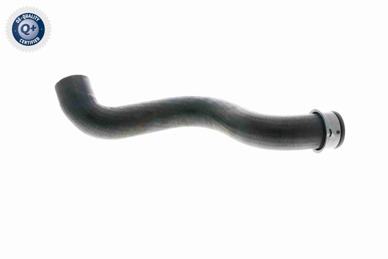 VAICO V30-1664 Radiator Hose
