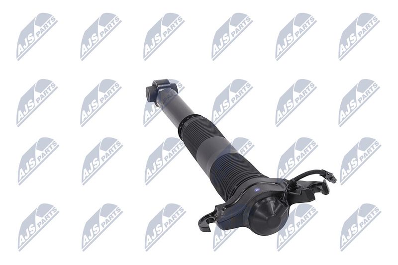 Amort, NTY A-LR-022